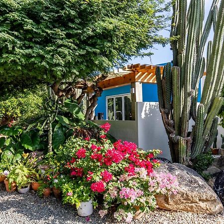 Naima Luxury Home, Cottage & Apartment Rentals Paradera エクステリア 写真