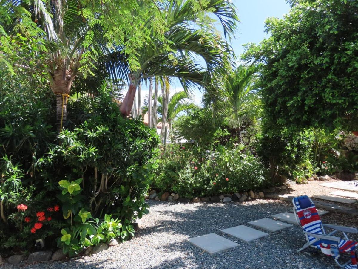 Naima Luxury Home, Cottage & Apartment Rentals Paradera エクステリア 写真