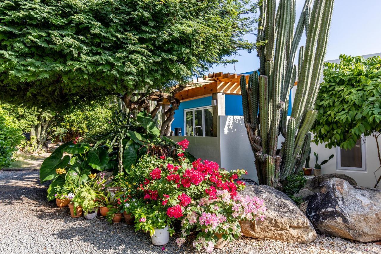 Naima Luxury Home, Cottage & Apartment Rentals Paradera エクステリア 写真