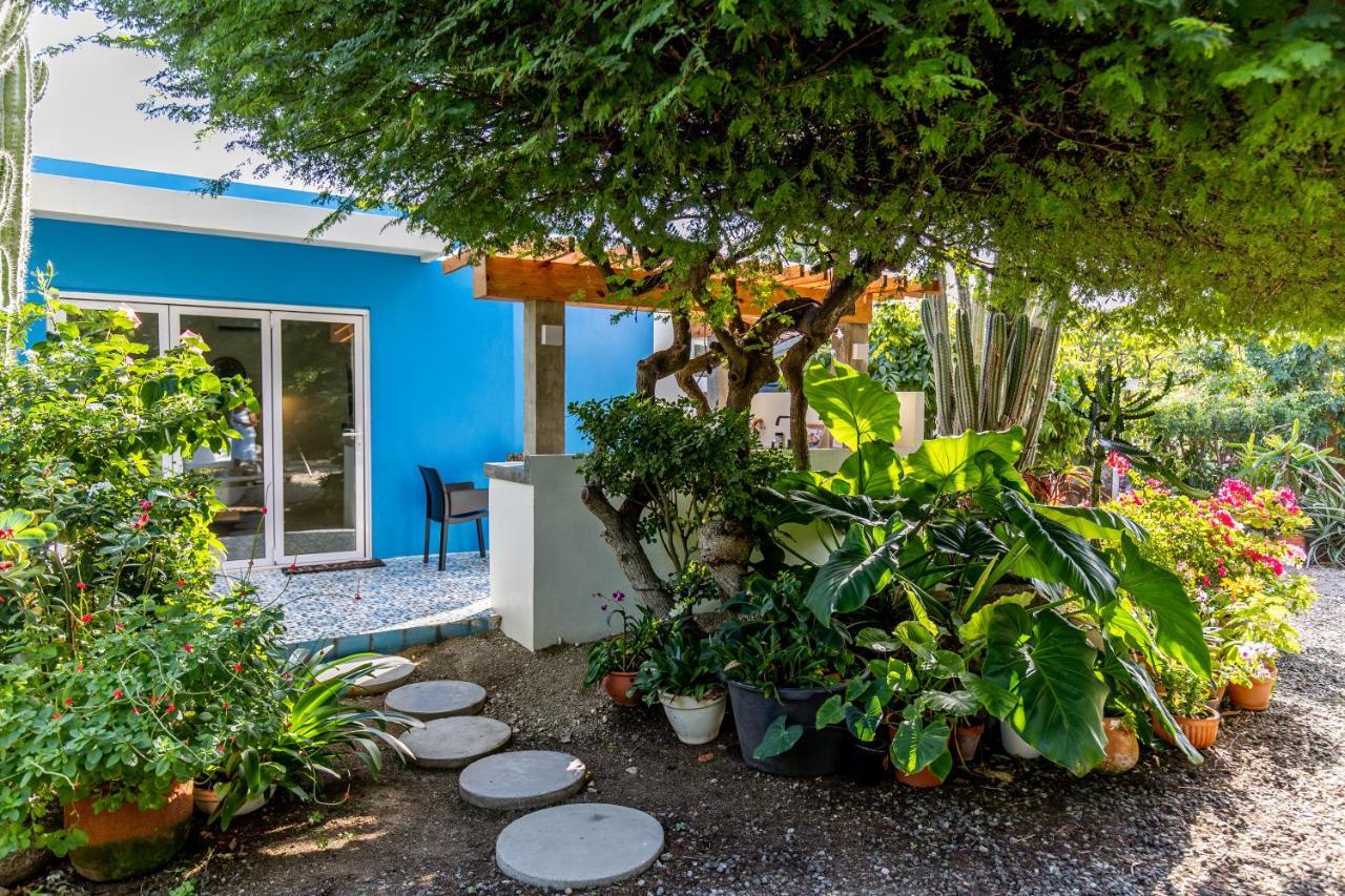 Naima Luxury Home, Cottage & Apartment Rentals Paradera エクステリア 写真