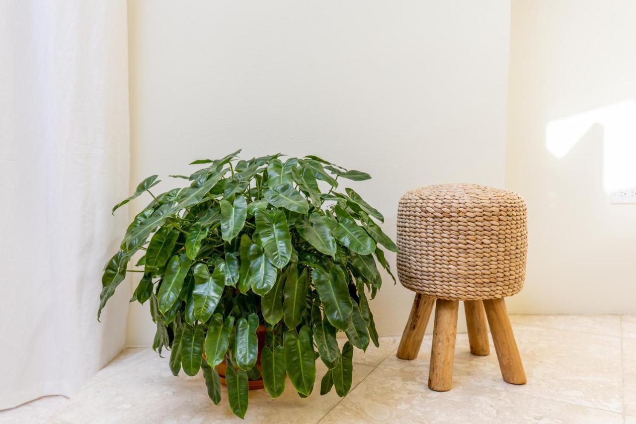 Naima Luxury Home, Cottage & Apartment Rentals Paradera エクステリア 写真