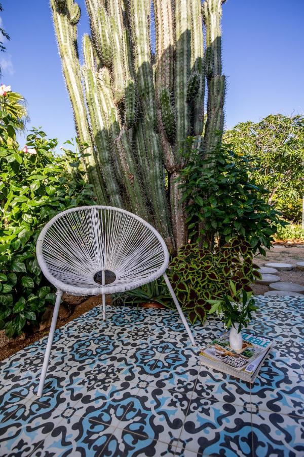 Naima Luxury Home, Cottage & Apartment Rentals Paradera エクステリア 写真